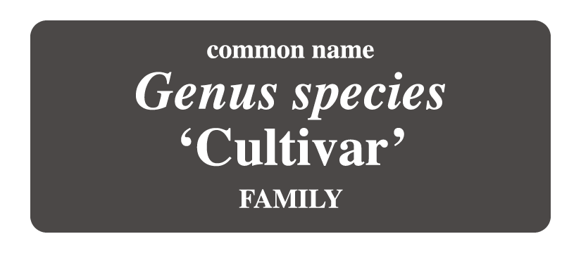 Plant Label for Spring Blooms.png